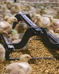 Plastic perch length 2m 2x10cm 1x20cm